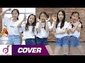 MOMOLAND X PORORO BANANA CHA CHA Easy Ver Kids Dance Cover Kids Dance Practice