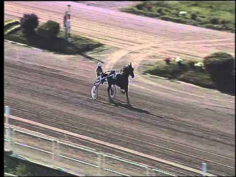 Trotto 04/06/2015 - 1° prova di riqualifica