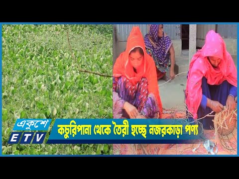 পাবনায় কচুরিপানা থেকে তৈরী হচ্ছে নজরকাড়া পরিবেশবান্ধব পণ্য
