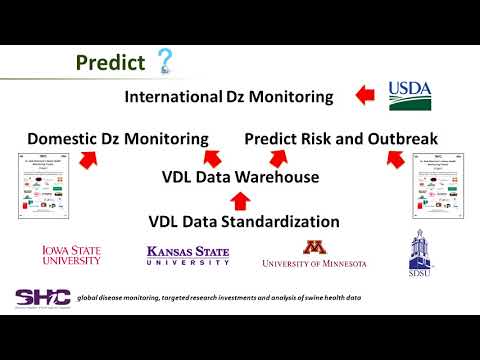 How to Sign Swine Vesicular Disease Virus in BSL