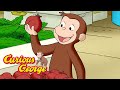 George's Favorite Foods 🐵 Curious George 🐵 Kids Cartoon 🐵 Kids Movies