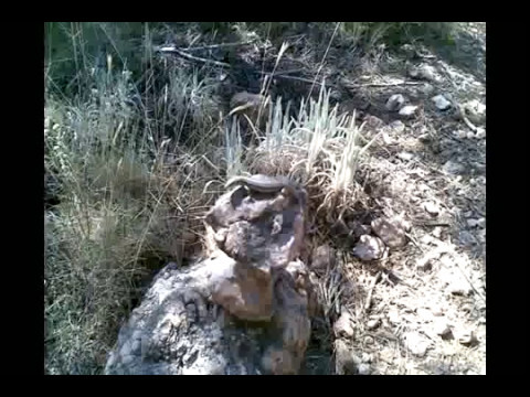 download lagu mp3 mp4 Colorin Colorada, download lagu Colorin Colorada gratis, unduh video klip Colorin Colorada