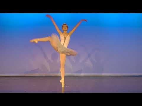 Mathilde Allard  /  Le Lac des Cygnes