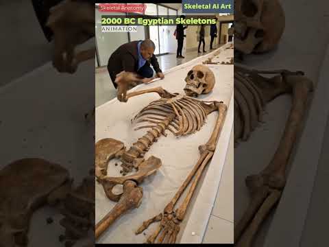 Illustration of 2000 BC Egyptian Skeletons Animation | Skeletal AI Art | 86