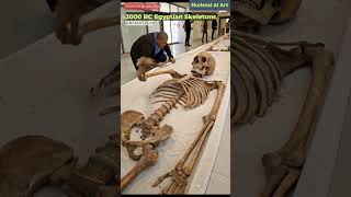 Illustration of 2000 BC Egyptian Skeletons Animation | Skeletal AI Art | 86