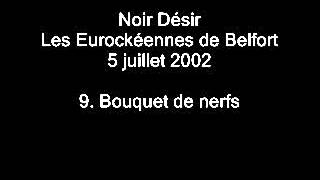 09.Bouquet de nerfs - Noir Désir aux Eurockéennes de Belfort le 5 juillet 2002