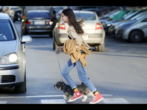 frame del video: video introduttivo, visibile all'interno del canale youtube di arpa fvg