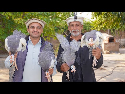 GUINEA FOWL Recipe in Completely Closed Clay Pot || (Chakor Recipe)