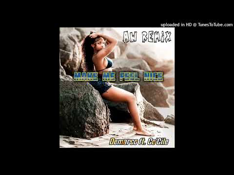 Make Me Feel Nice - Ce'Cile x Demarco  (AW Remix 2023)