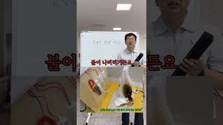 알루바프로 6구 16A 메인스위치 과부하차단 멀티탭 (1.5m)_동영상_이미지