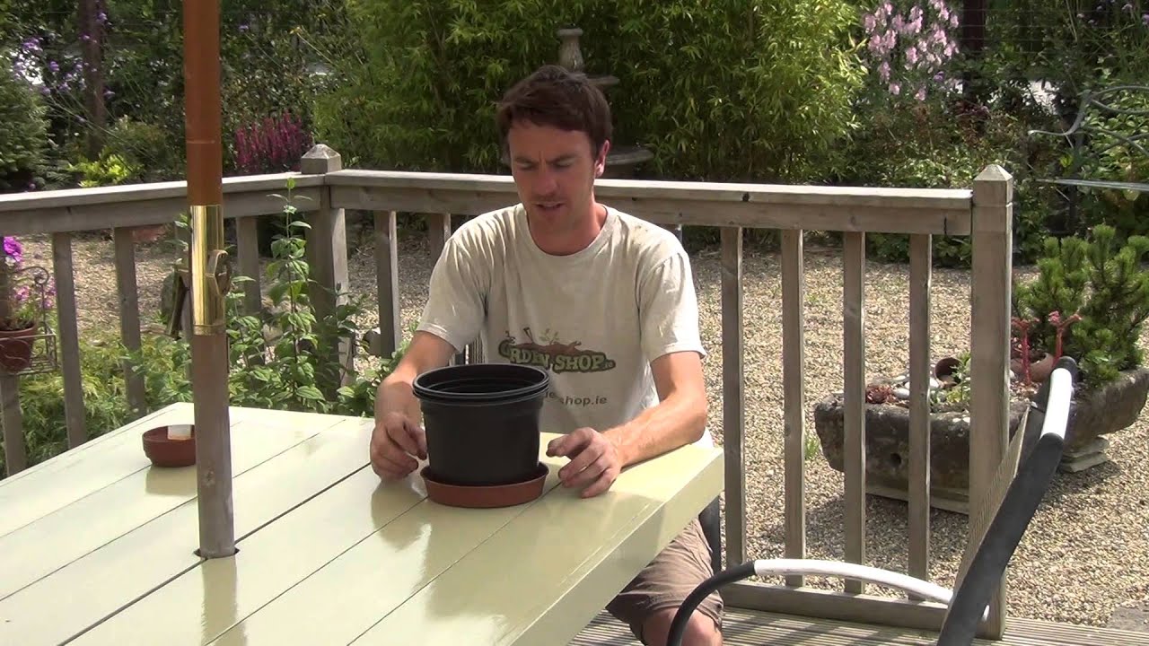 Watch video 20cm Plant Pot Saucer Now 20cm Plant Pot Saucer