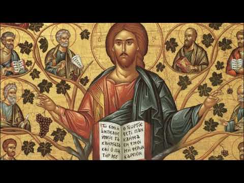 OFFERTORIUM - VII Domingo depois de Pentecostes