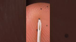 Download lagu ASMR syringe under index finger skin CLOSE-UP ( macro - zoom in) #asmr #asmrsounds #closeup mp3