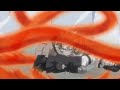 Naruto And Sasuke Vs Haku Naruto S Kind Nature Even When Under The Influence Of The Nine Tails