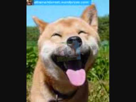 Prezioso vs. Marvin - The Riddle ( Edit Sho'H Electrofunk Remix)