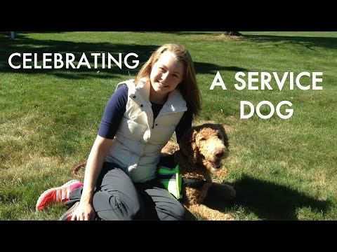 CELEBRATING A SERVICE DOG!!! Video