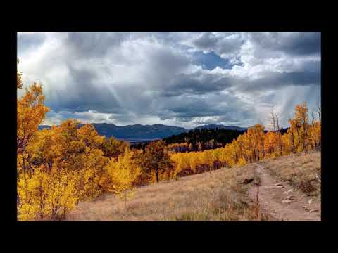 Burak Bozteke - Viran (Official Music Video)