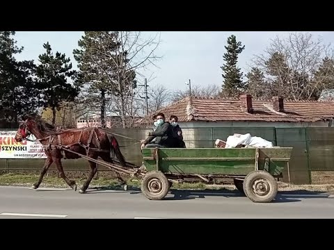 One Horsepower at Level Crossing