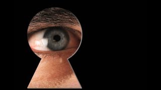 The Daily Life of Sasquatch: Nine Glimpses