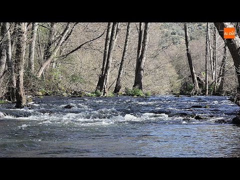 Arnales, el arenal secreto de Las Arribes del Tormes  
