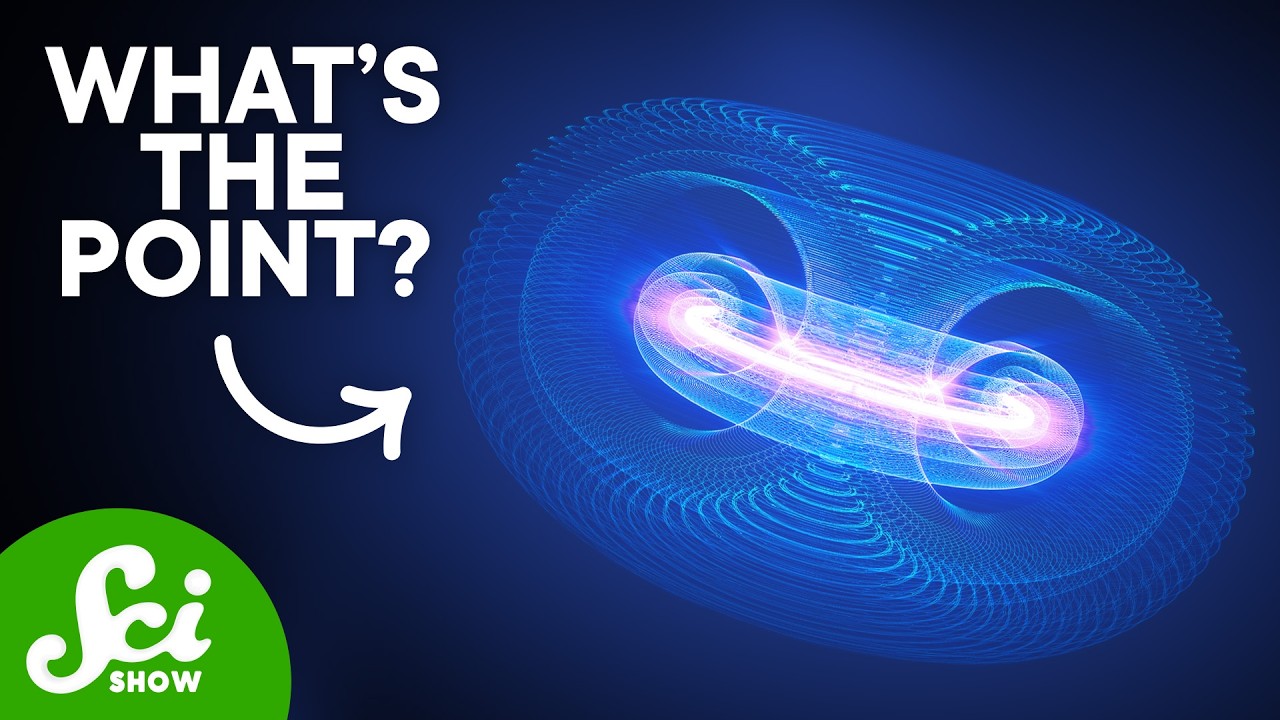 The World’s Biggest Fusion Reactor Doesn’t Do Anything