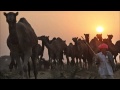 Pushkar Fair - India (HD1080p) 