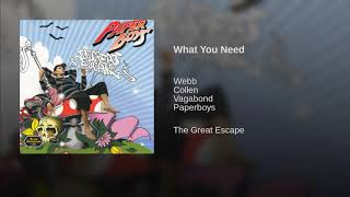 What You Need Music Video