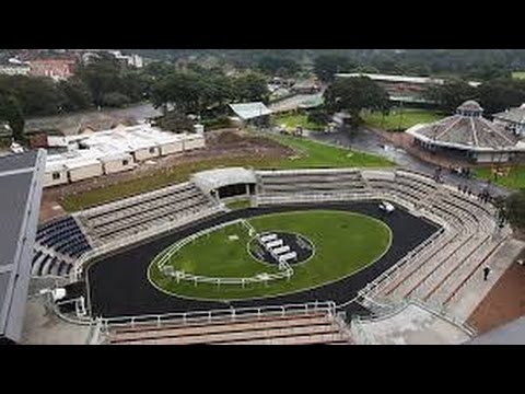 2017 ATC The Championships _ Queen Elizabeth Stakes Pre Race