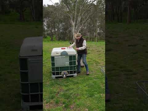 Making a Worm Farm from a 1000 Lt IBC - Homemade & DIY Weekend Project