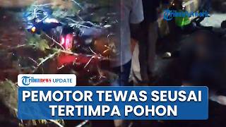 5 Pemotor Tertimpa Pohon Tumbang saat Melintas Dekat Kampus Unpad Jatinangor, Satu Orang Tewas