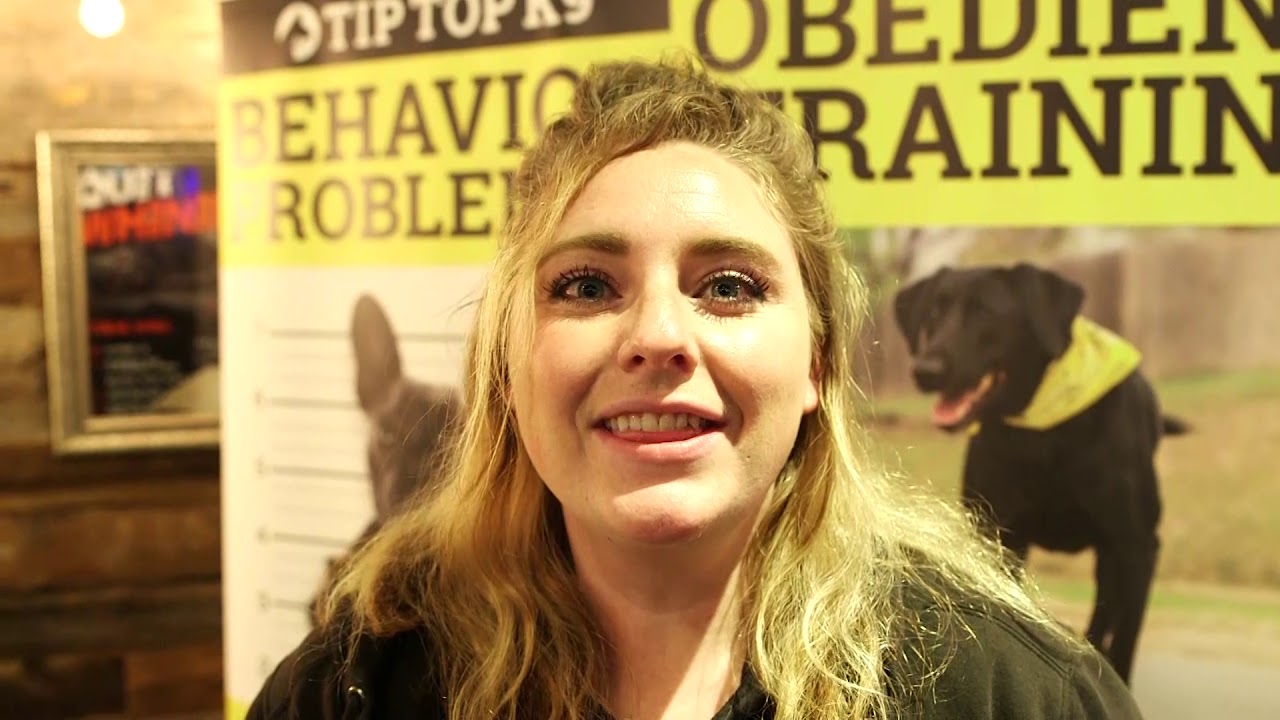 Tip Top K9 Reviews | Tulsa Dog Board and Train | Tip Top K9 | Darcy