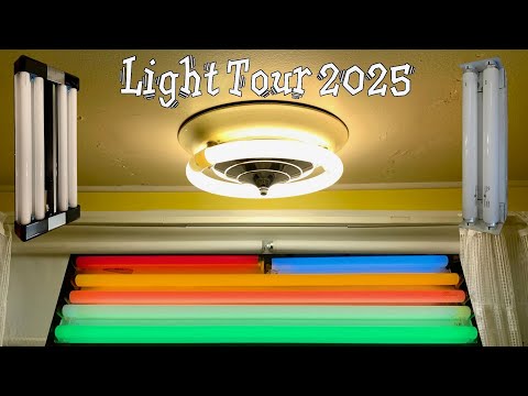 A March 2025 tour of all the Lights in my House and Apartment:  Fluorescent HID Incandescent and LED
