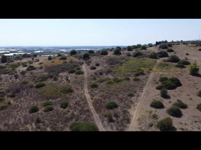 Terreno e casa colonica in Vendita a Policoro