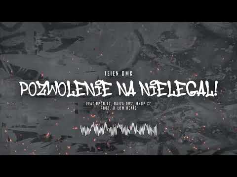 TEIEN DMK - POZWOLENIE NA NIELEGAL feat OPÓR XZ, RAIZA DWZ, OKUP XZ prod. D-LOW BEATS
