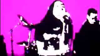 Shihad-Shot in da head