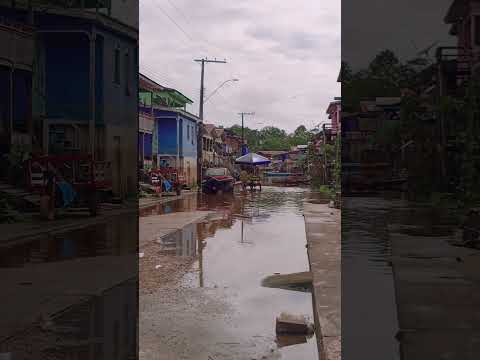 cheia no município de anamã Amazonas #anamã