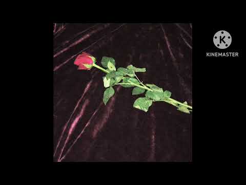 uglytenshin  - velours