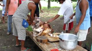 preview picture of video '2012 May Tomas Balaoang Paniqui Tarlac Philippines Family Mango Farm'