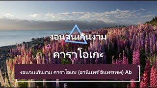 งอนจนเกินงาม คาราโอเกะ (ธานินทร์ อินทรเทพ) Ab