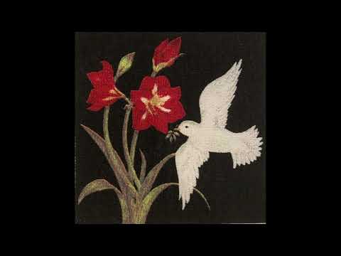 Flying Lotus x Pink Siifu x Lord Apex Type Beat - "Daily Cycles"