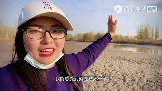 农村悦悦：新疆干枯的流沙河，用脚踩沙就会出水，太神奇了