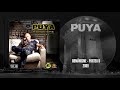 Puya Doamna Si Bagabontul Feat Alex Sign