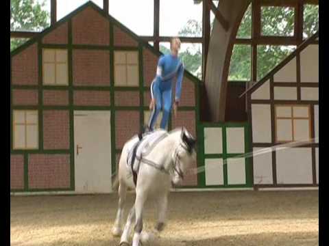 CVI** Krumke 2010 - Juniorteam Schenkenberg (Pflicht)