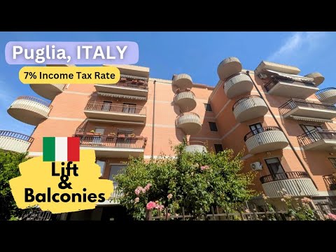 I Found the Perfect Apartment!