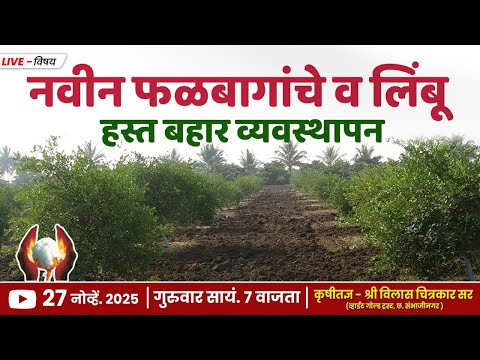 नवीन फळबागांचे व लिंबू हस्त बहार व्यवस्थापन.