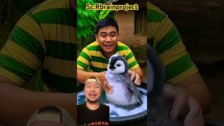 Download lagu Nemu penguin unyu eh malah di jahilin sih!!? #funny #shortvideo #ytshorts #animation mp3 Download lagu Nemu penguin unyu eh malah di jahilin sih!!? #funny #shortvideo #ytshorts #animation mp3