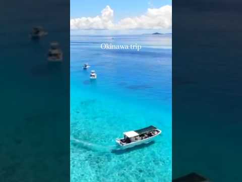 全サンゴ礁の3分の2が乱獲されている