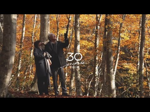 秋の美人林（新潟県十日町市）