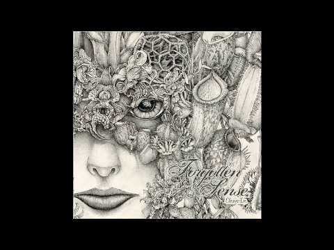 Ohm-In @ EP Forgotten Sense - Kind of Confusion (Shamanism Records)