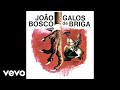 João Bosco - O Cavaleiro E Os Moinhos (Pseudo Video)